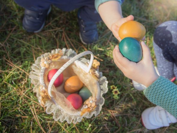 Chasse aux oeufs